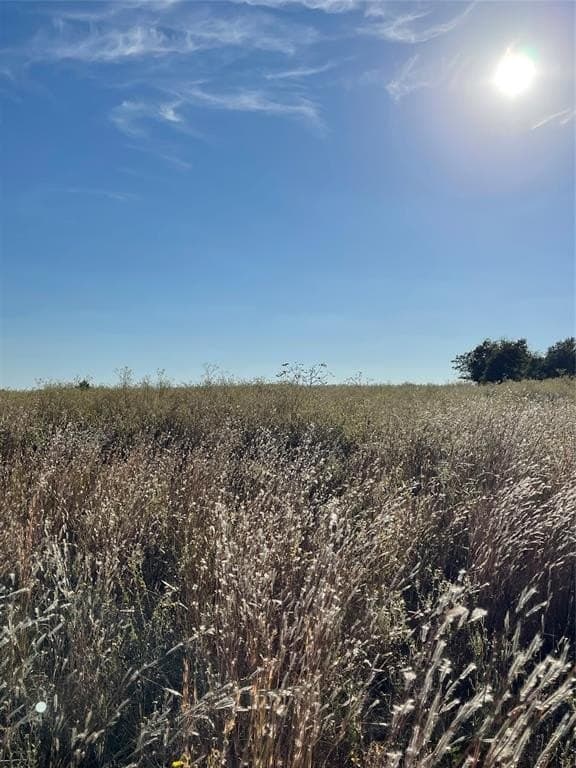 11.5 acres in Van Zandt County gallery image 3
