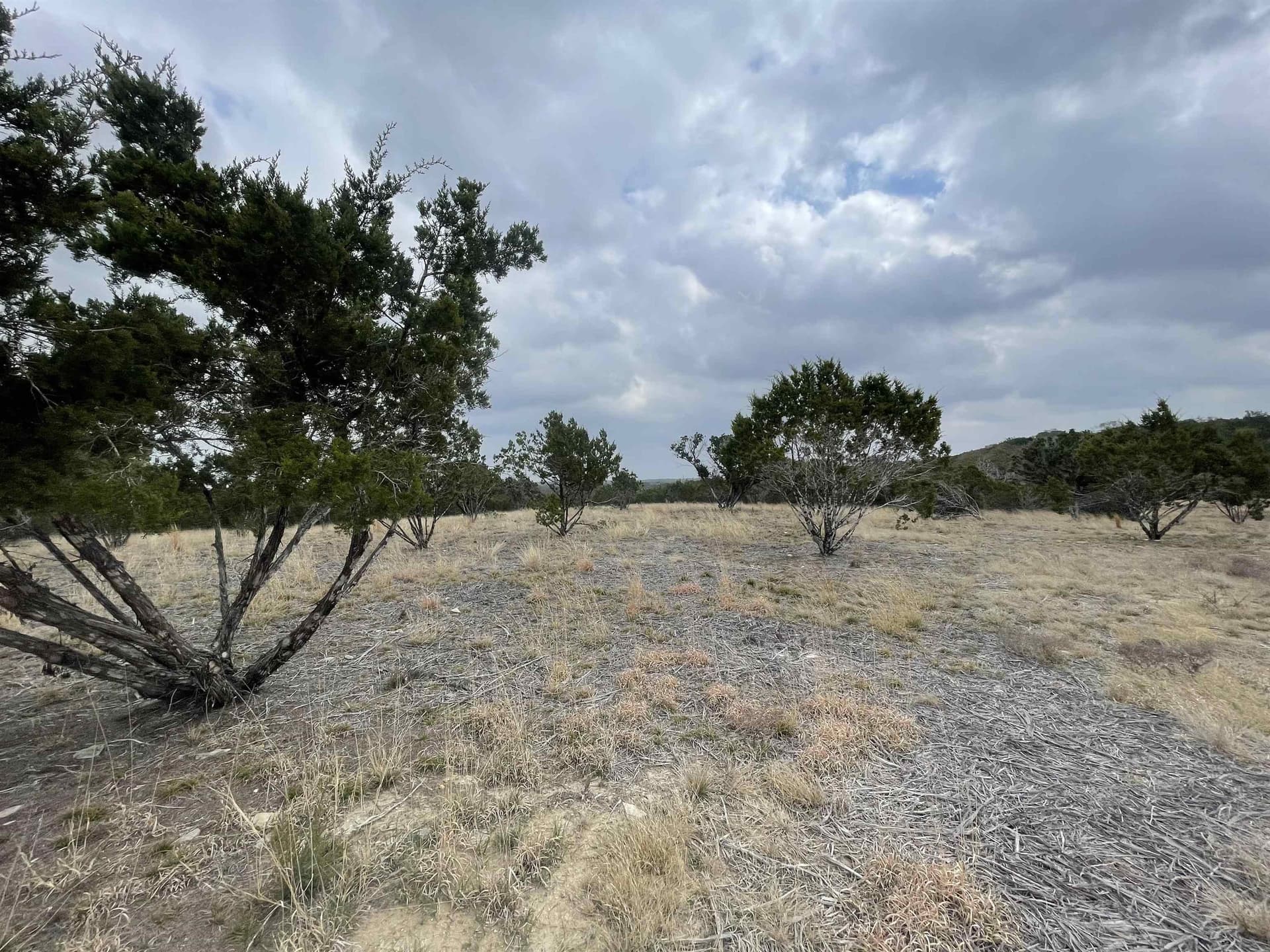 5 acres in Burnet County gallery image 4