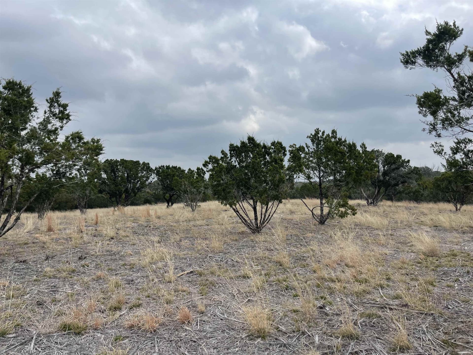 5 acres in Burnet County gallery image 2
