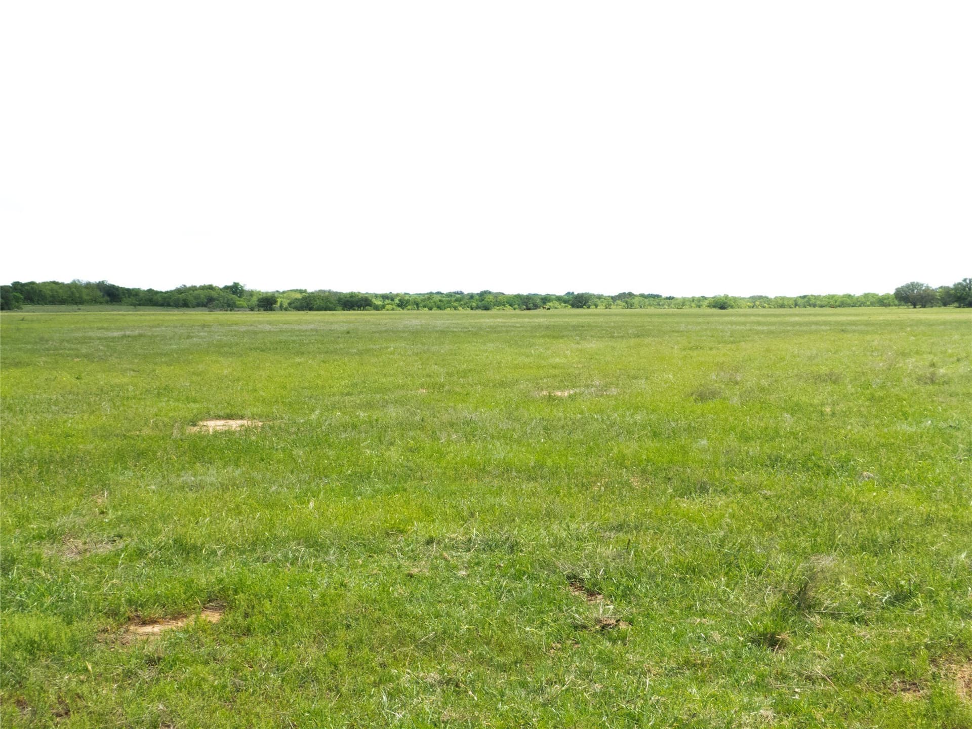 38 acres in Brown County - photo 11