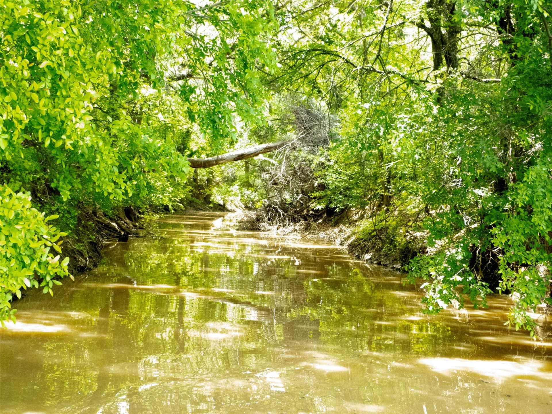 38 acres in Brown County - photo 13