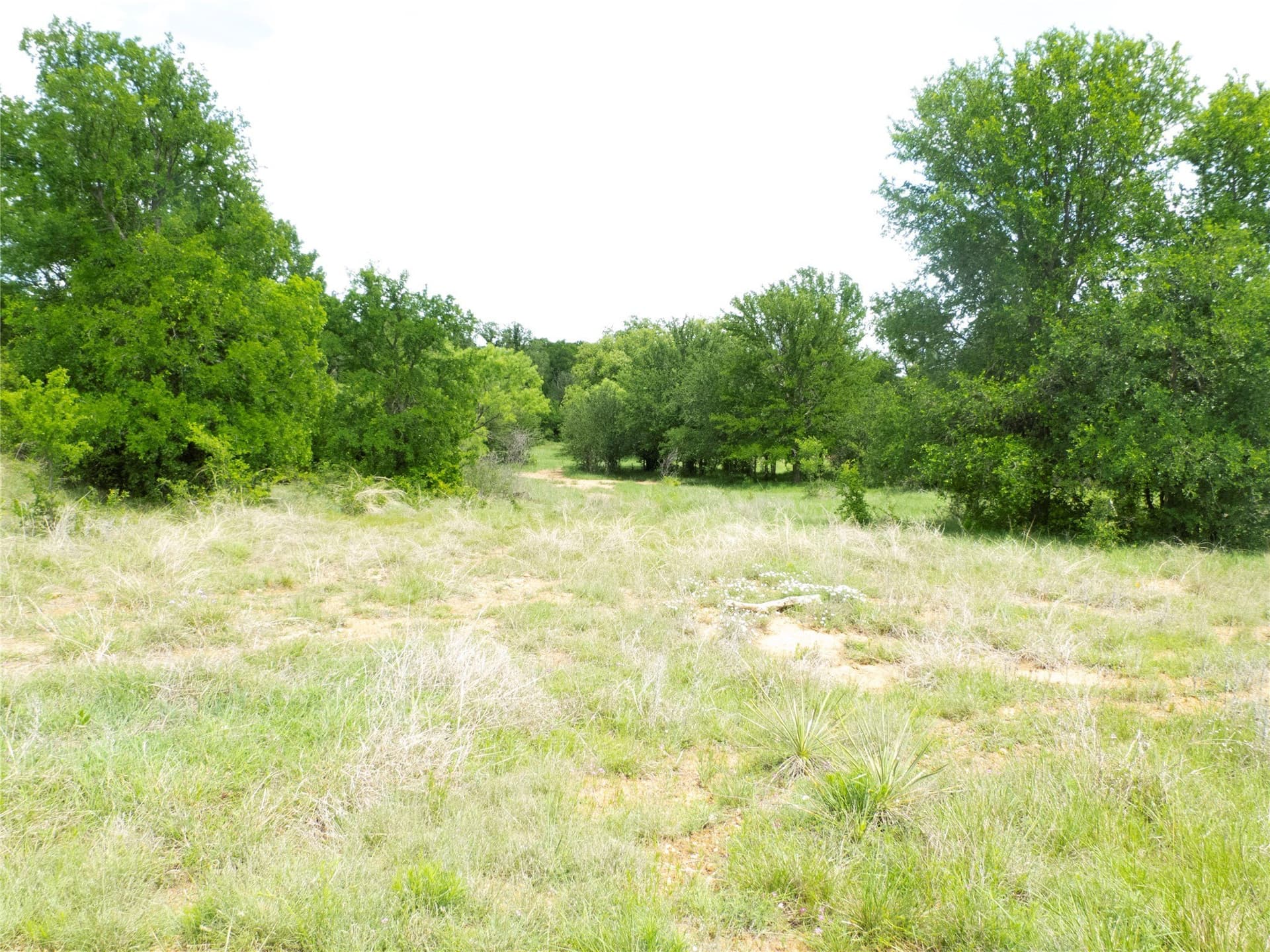 38 acres in Brown County - photo 22