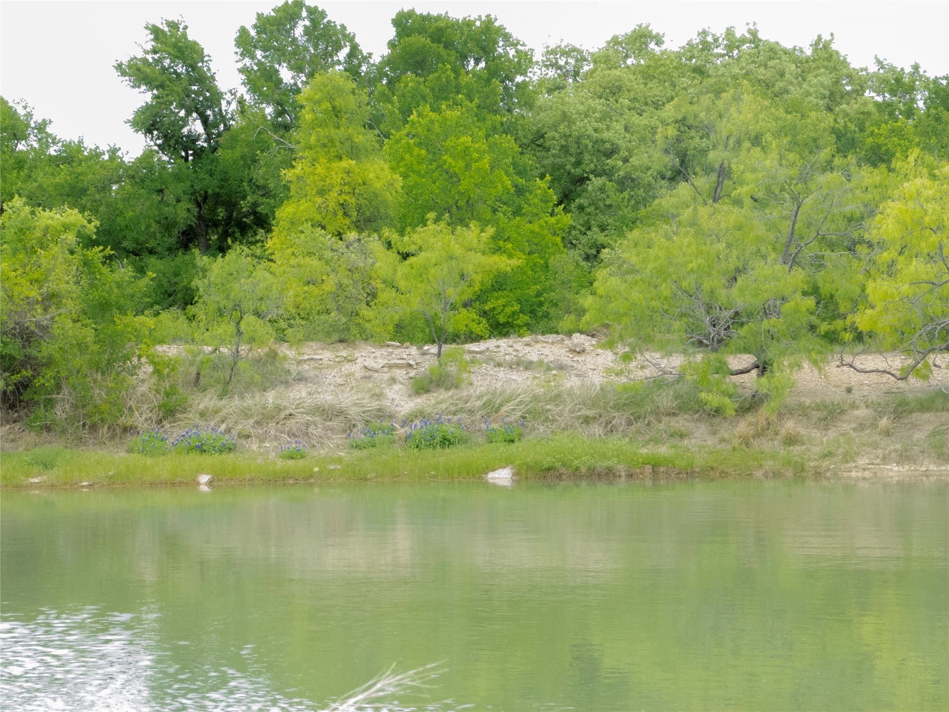 38 acres in Brown County - photo 23