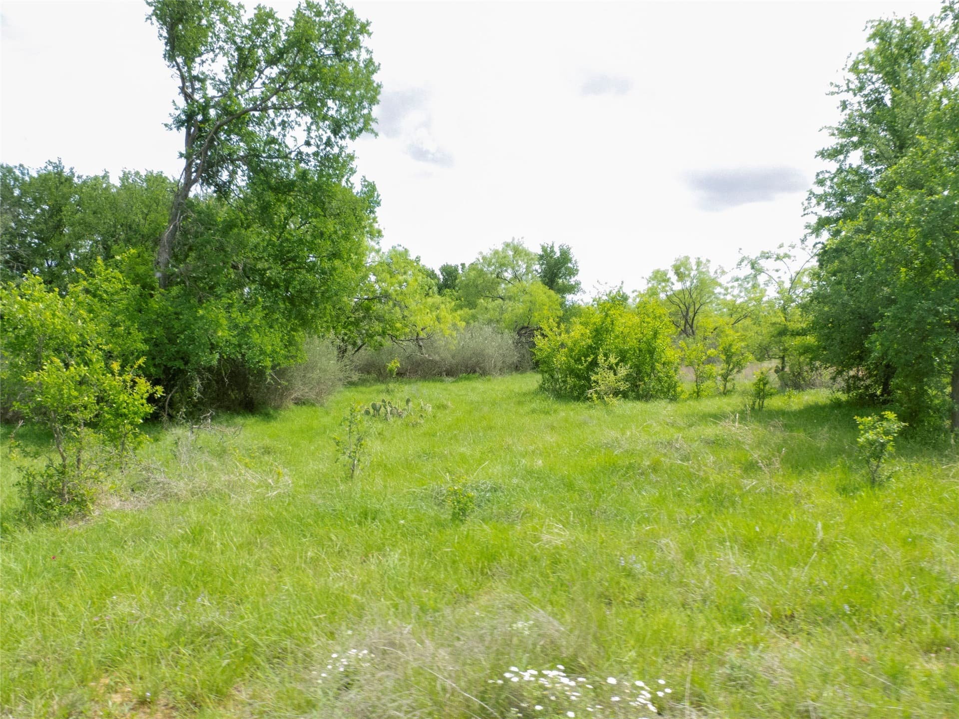 38 acres in Brown County - photo 21
