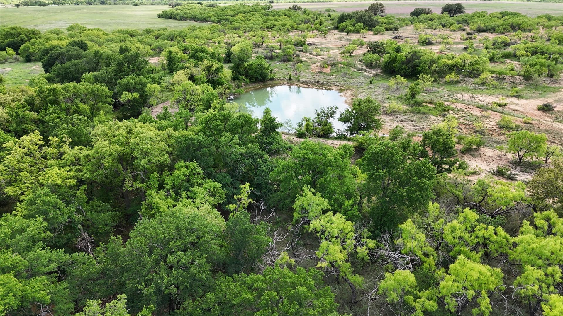 38 acres in Brown County - photo 8