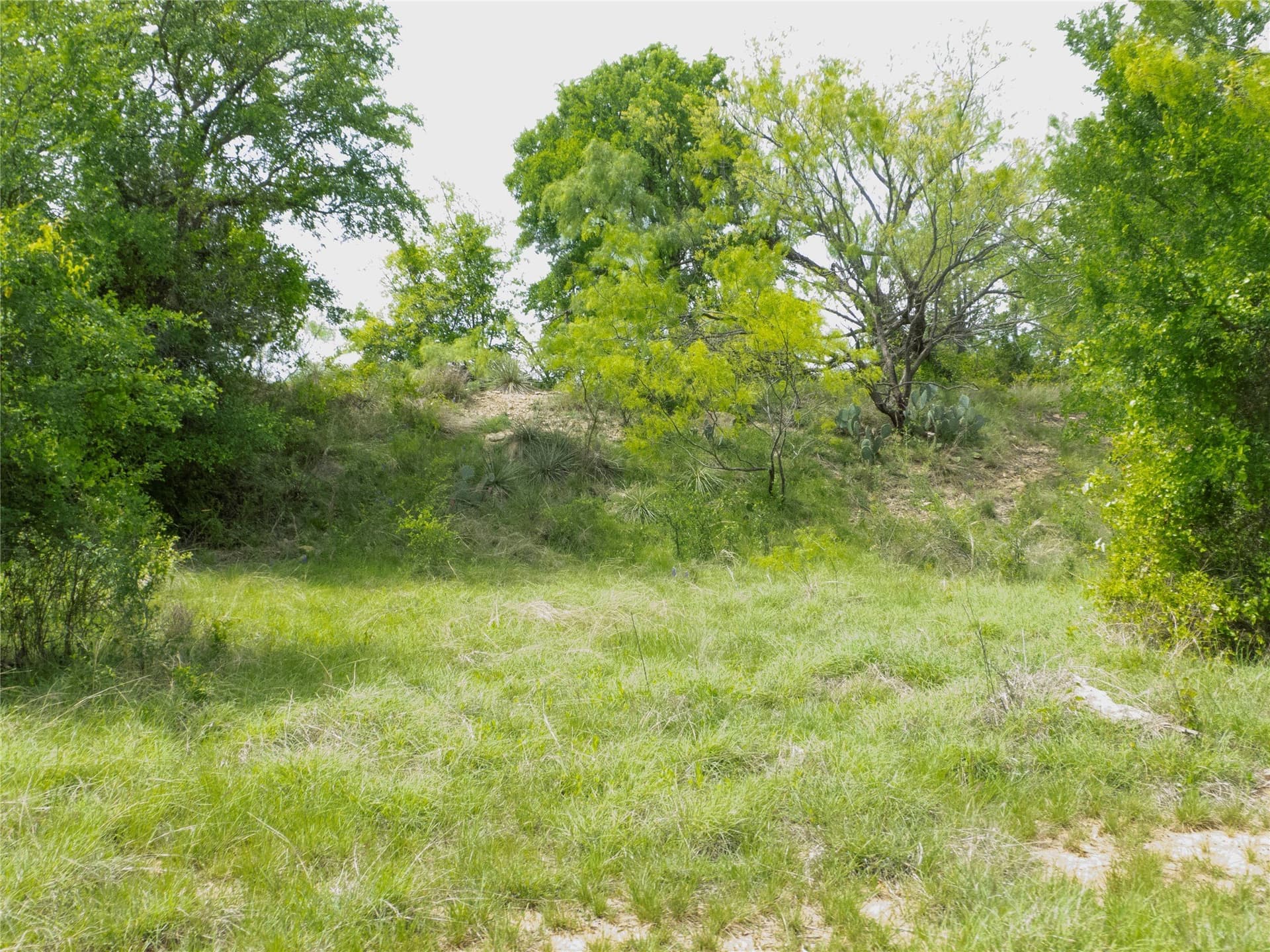38 acres in Brown County - photo 25