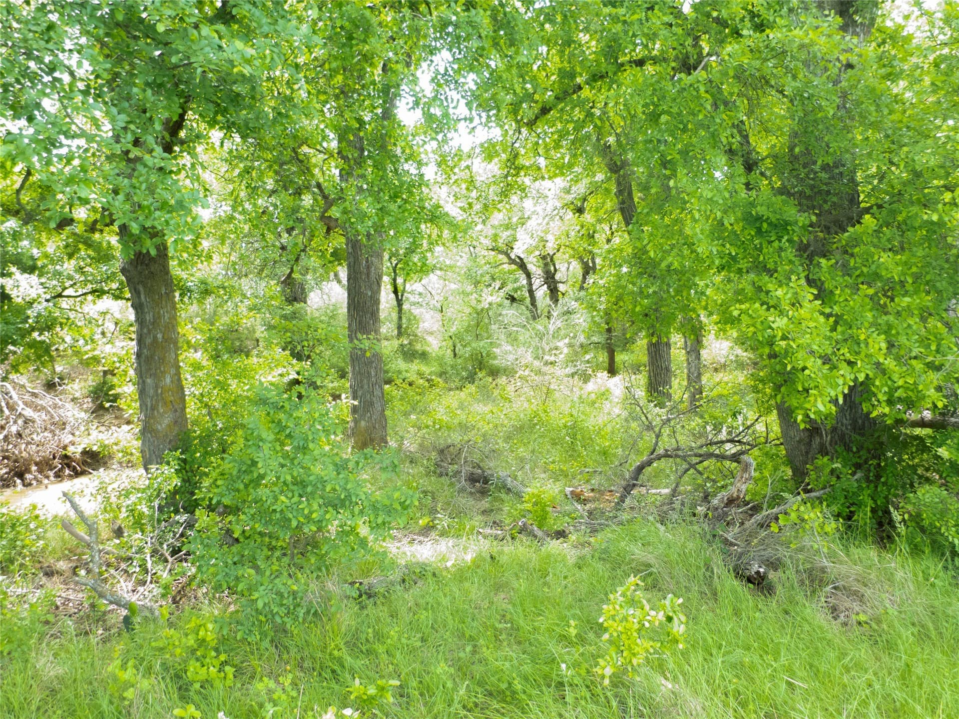 38 acres in Brown County - photo 17