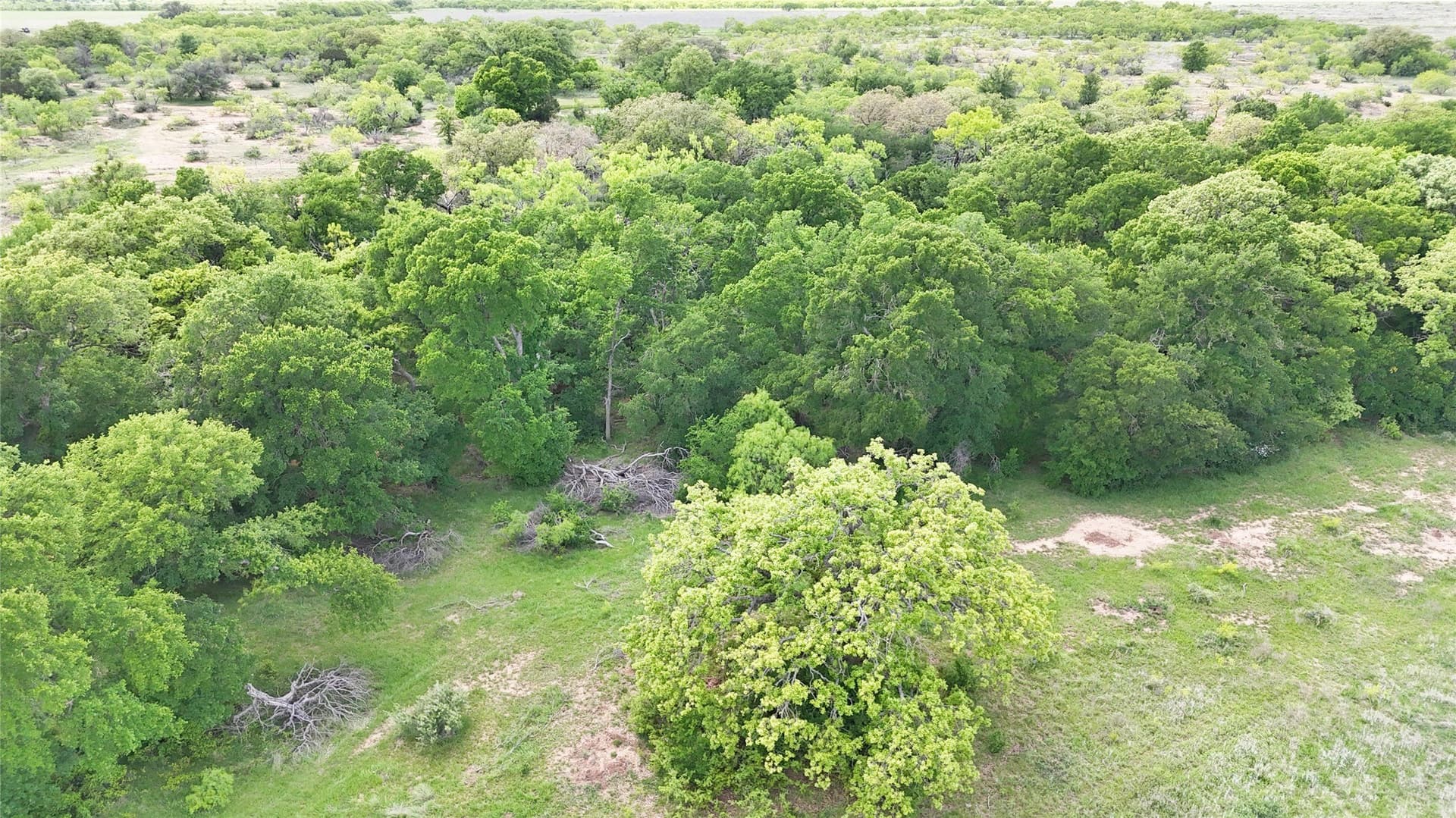 38 acres in Brown County - photo 6