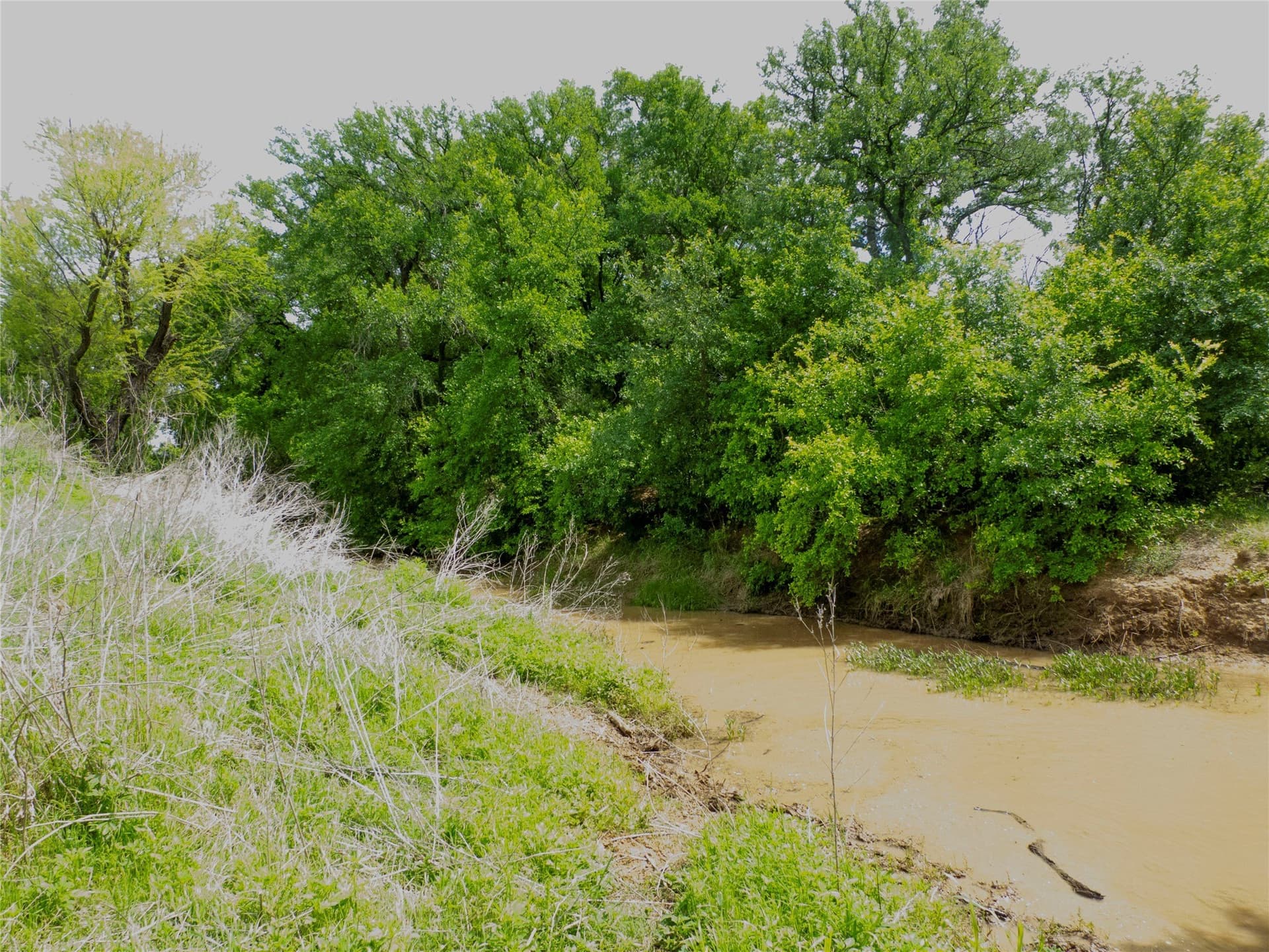 38 acres in Brown County - photo 20
