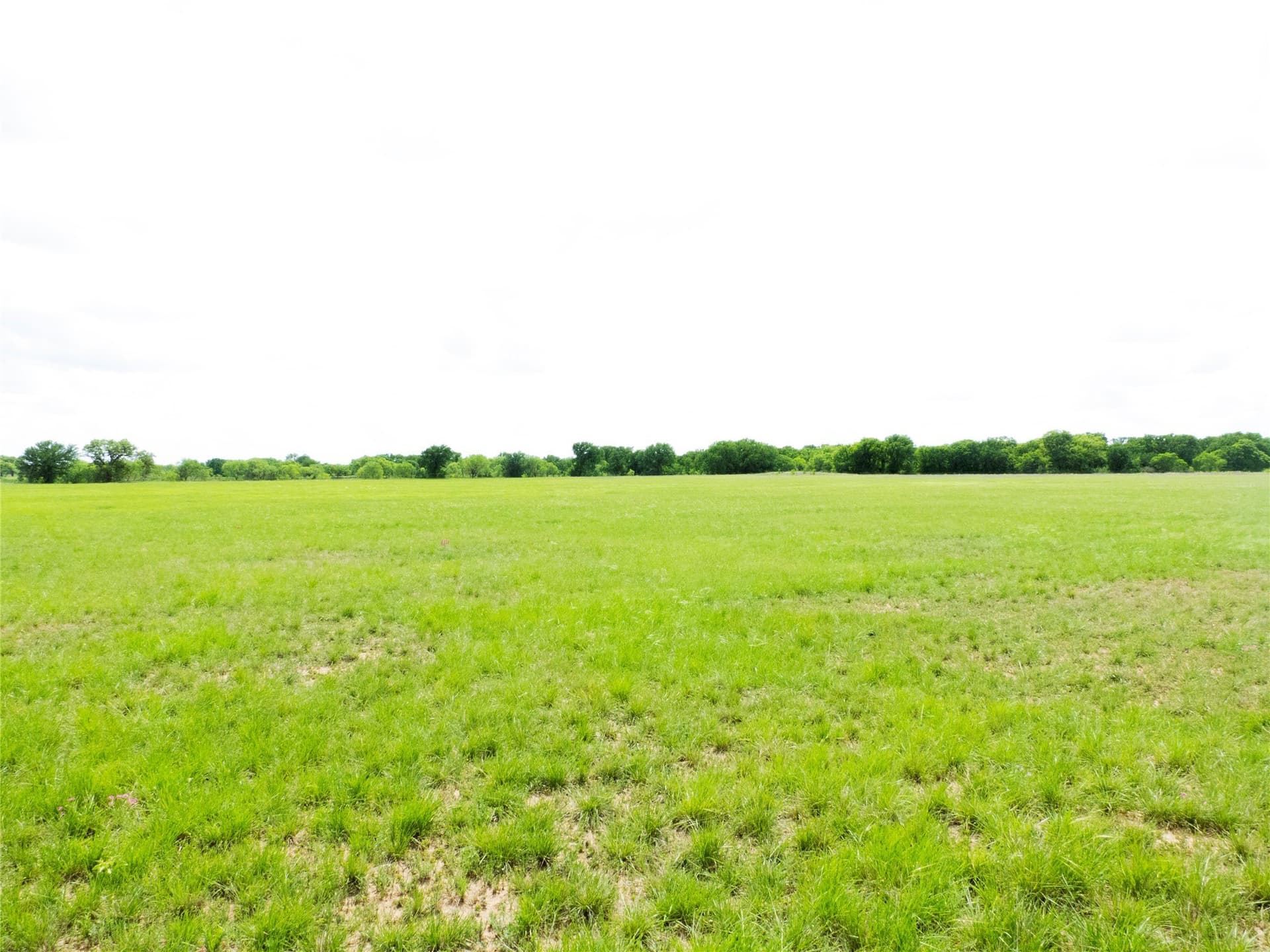 38 acres in Brown County - photo 16