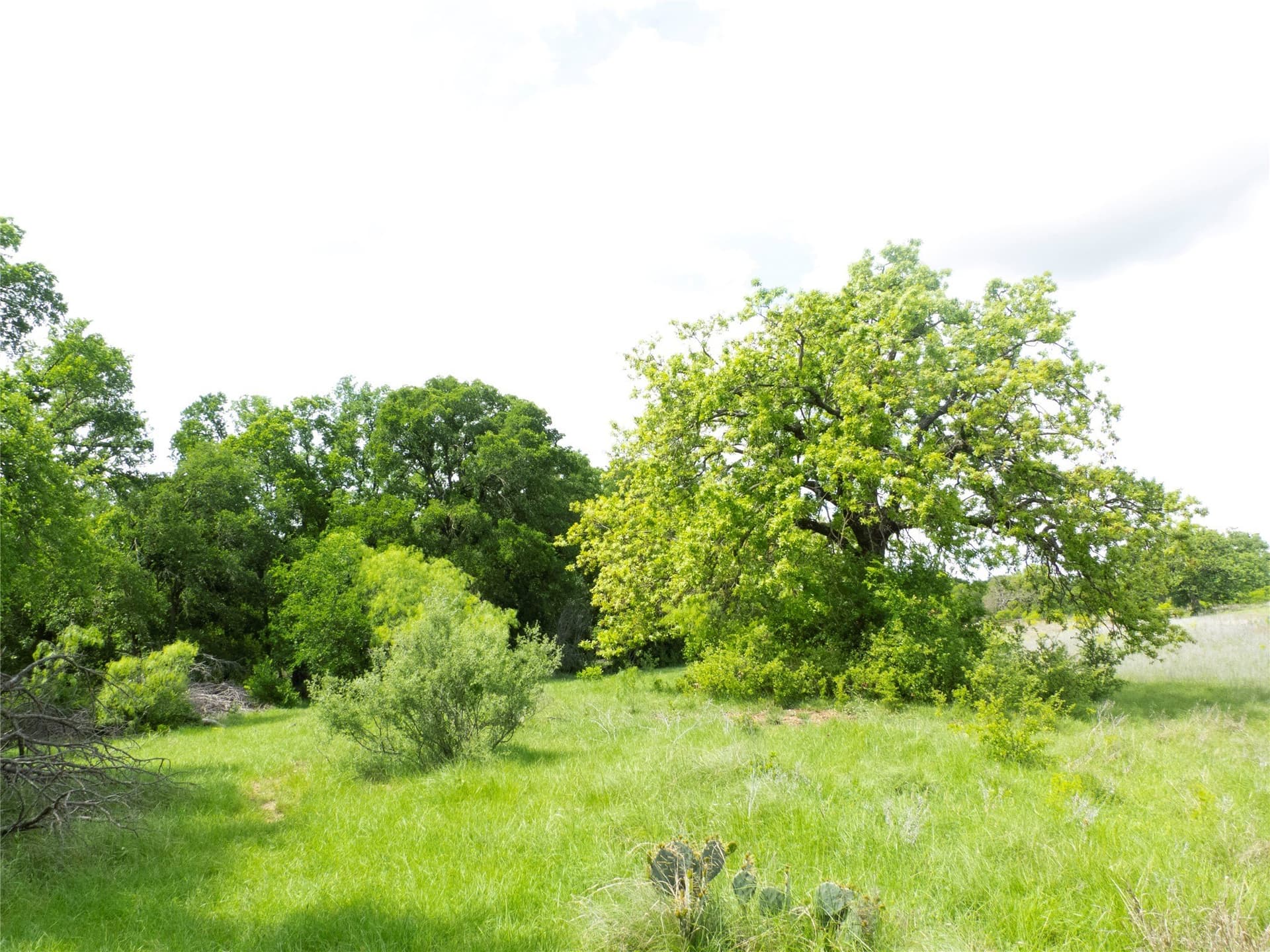 38 acres in Brown County - photo 19