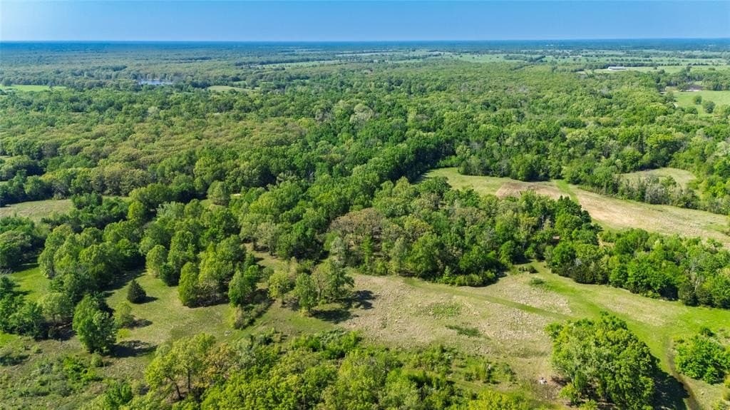 23.16 acres in Hopkins County gallery image 2