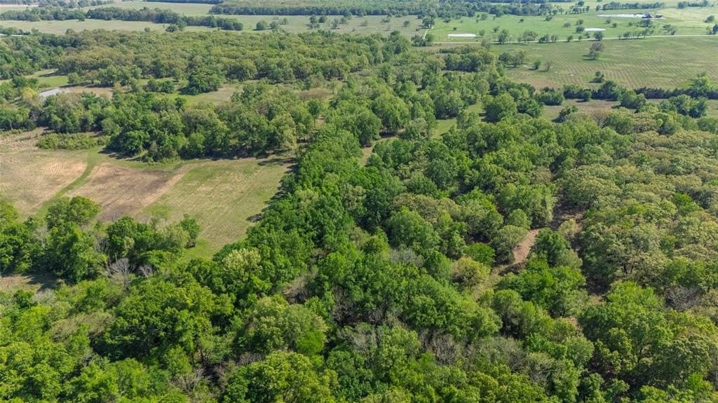 23.16 acres in Hopkins County featured view