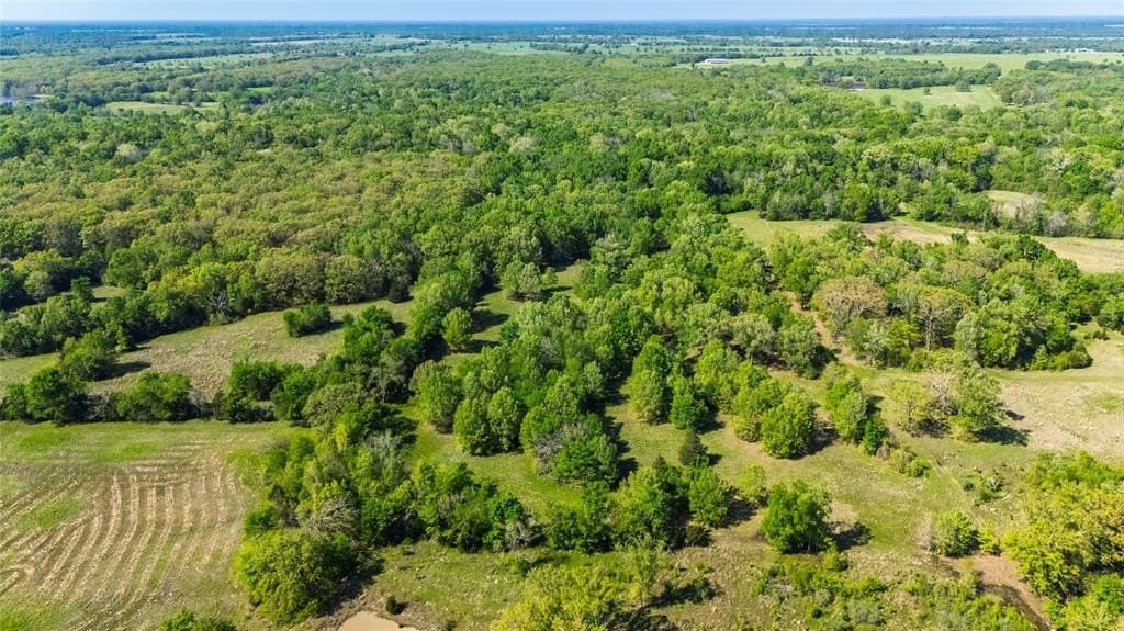 23.16 acres in Hopkins County gallery image 3