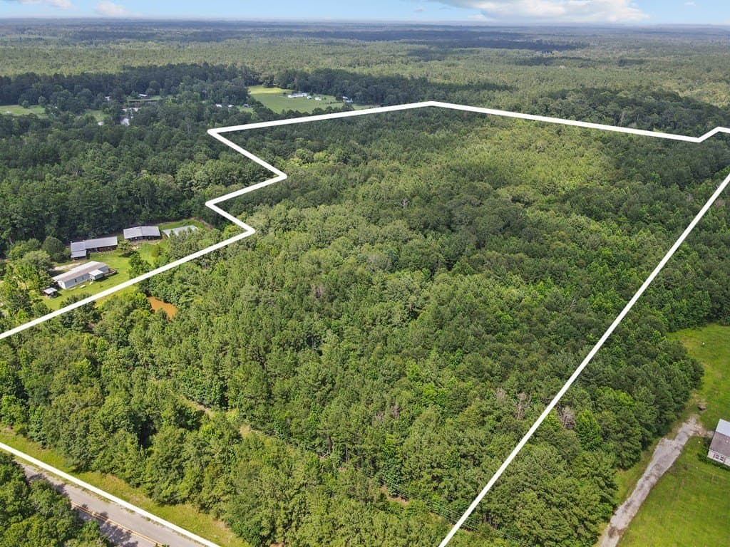 36 acres in Texas County gallery image 2