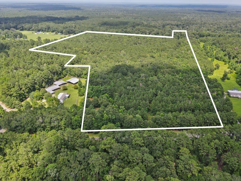 36 acres in Texas County - photo 11
