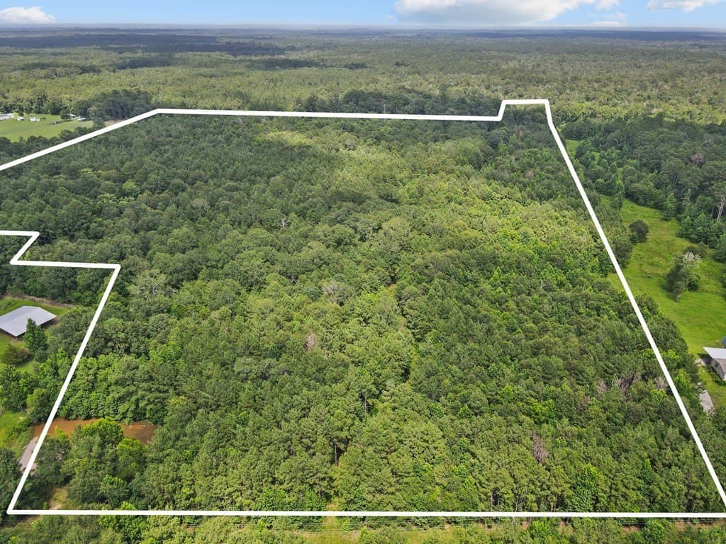 36 acres in Texas County featured view
