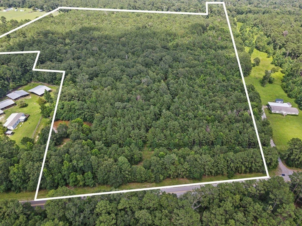 36 acres in Texas County gallery image 4