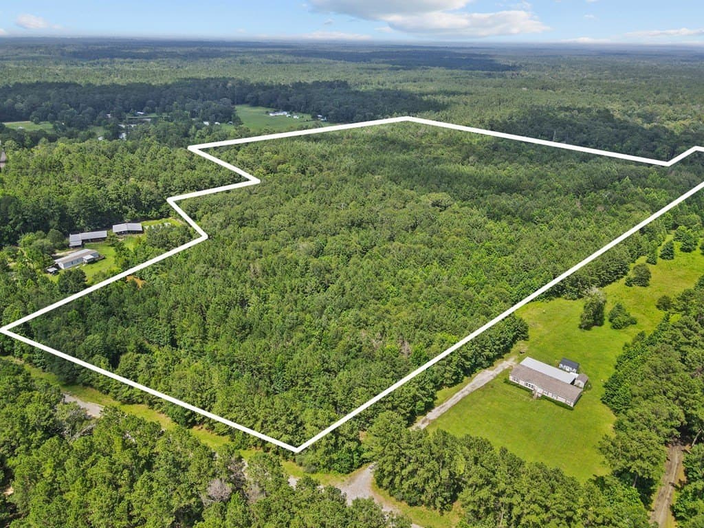 36 acres in Texas County gallery image 3