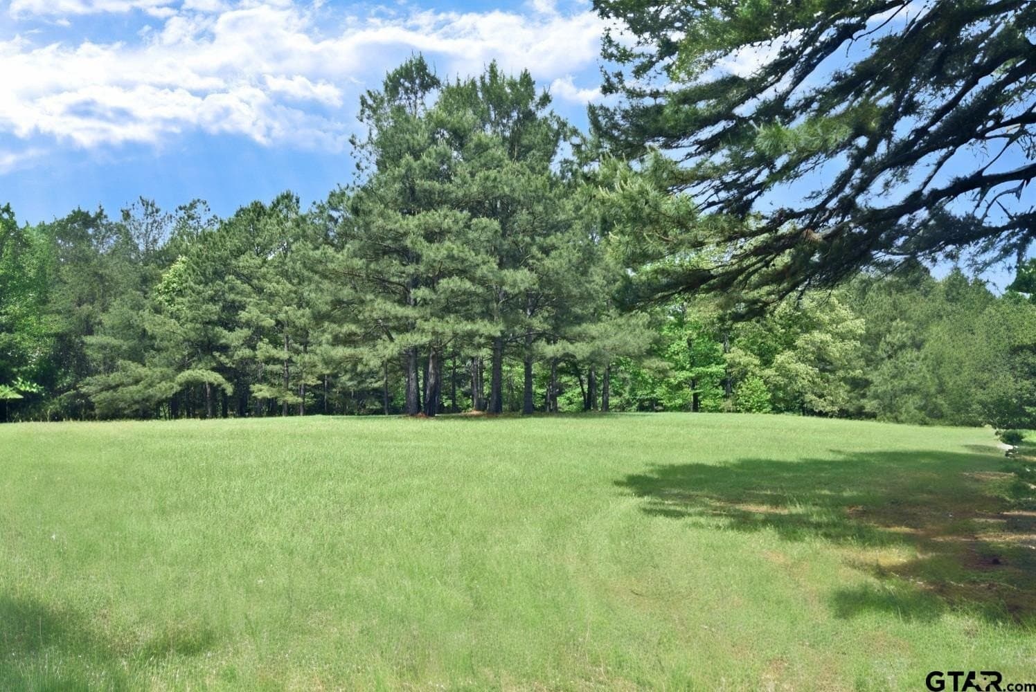 23.75 acres in Smith County - photo 21