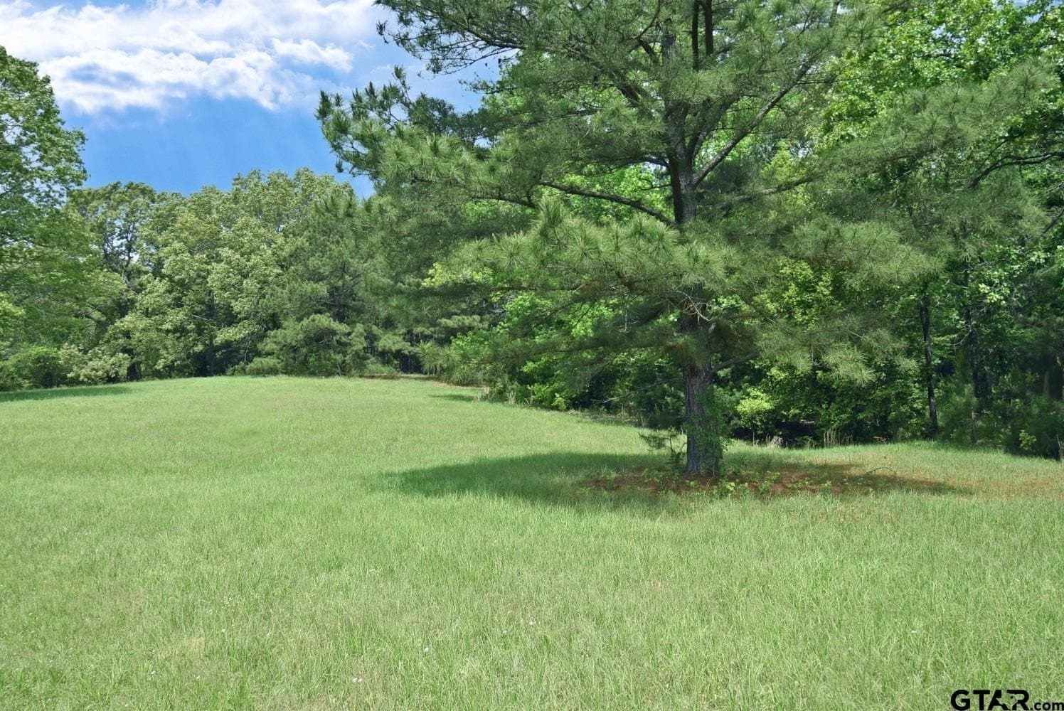 23.75 acres in Smith County - photo 22