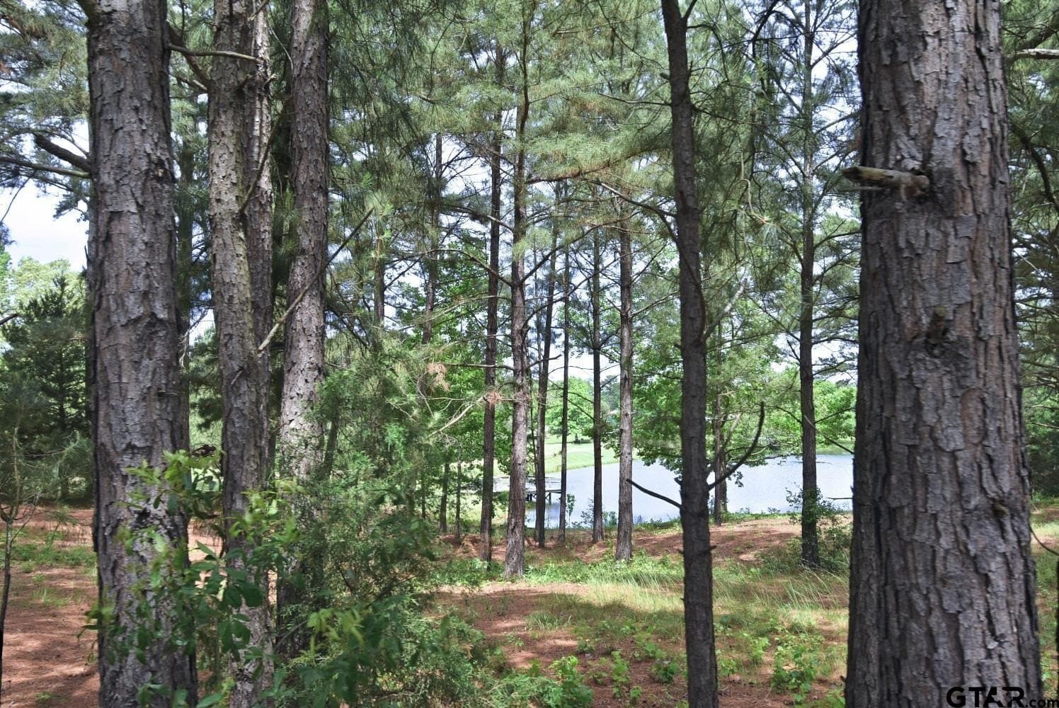 23.75 acres in Smith County - photo 26