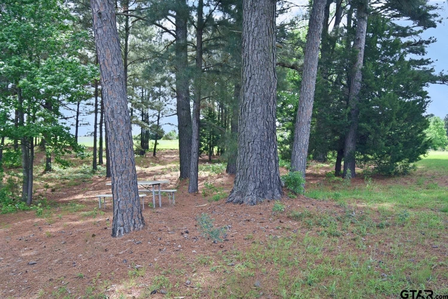 23.75 acres in Smith County - photo 24