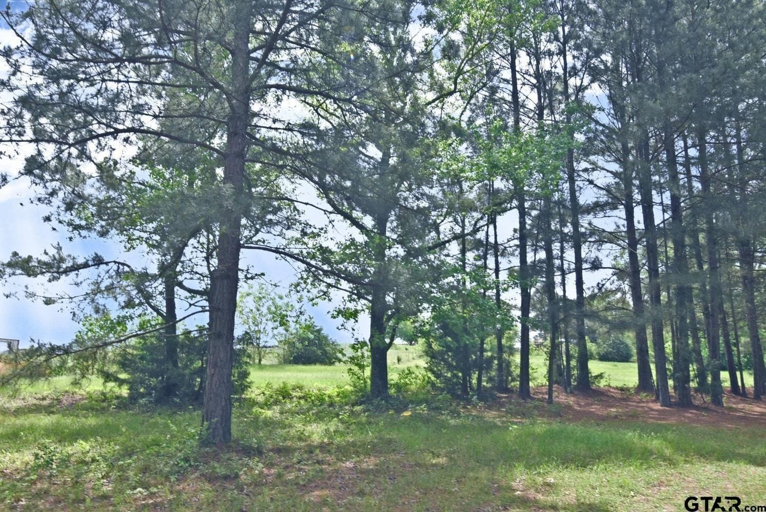 23.75 acres in Smith County - photo 25