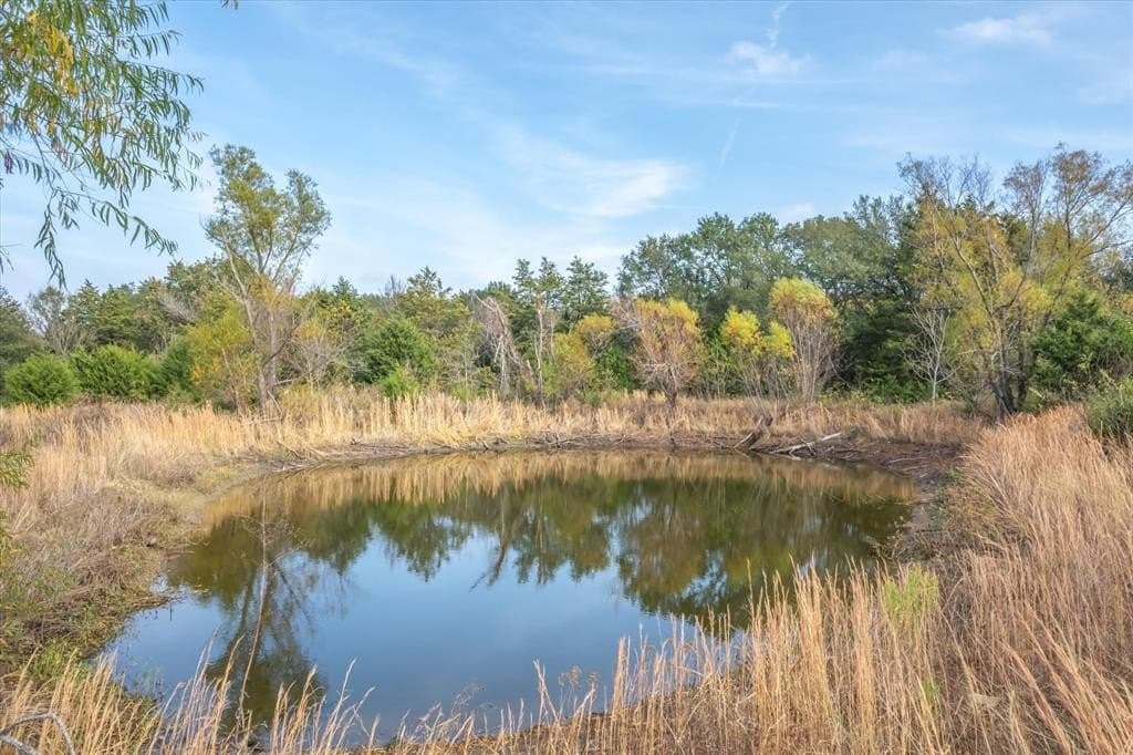 6.42 acres in Kaufman County gallery image 3