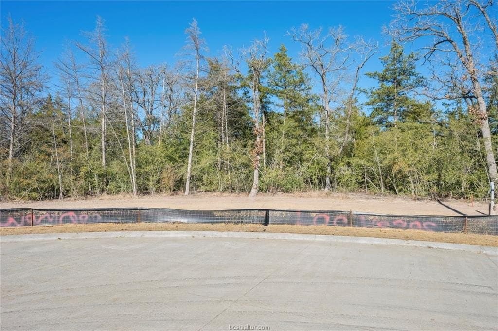 0.39 acres in Brazos County - photo 4