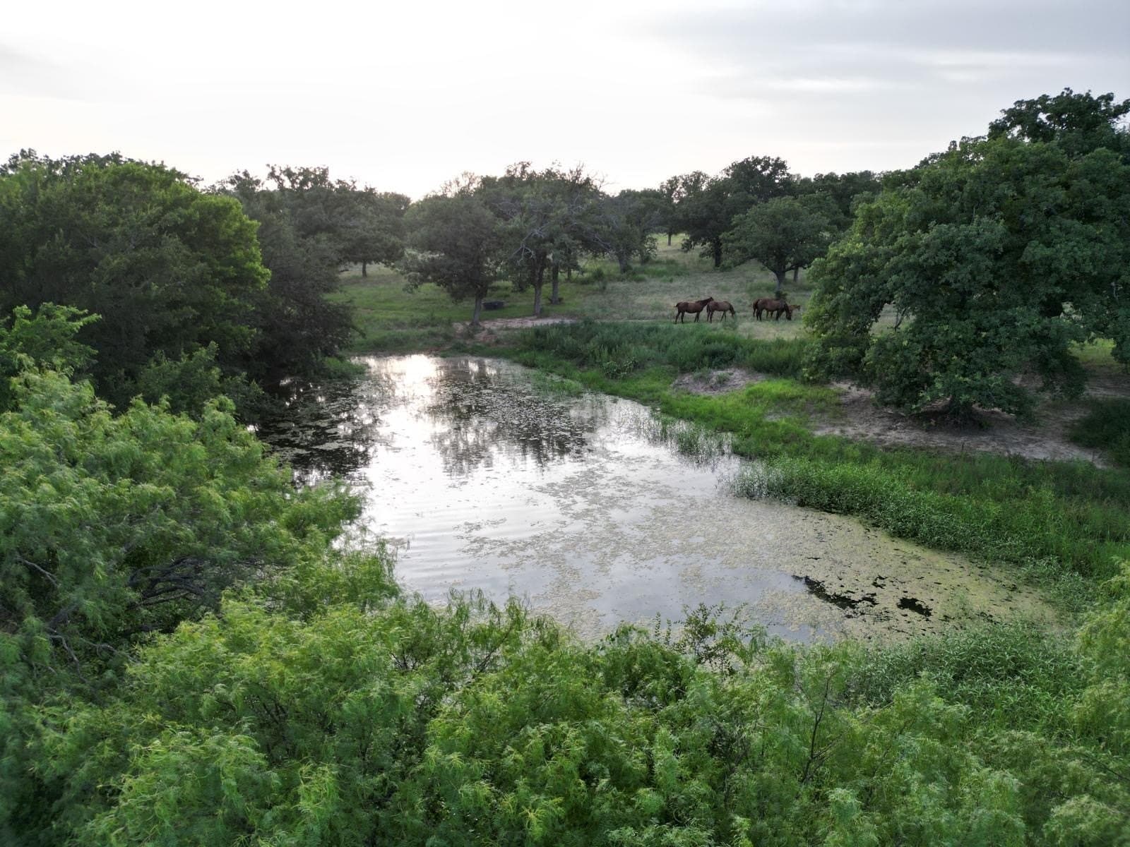 297.64 acres in Comanche County - photo 25