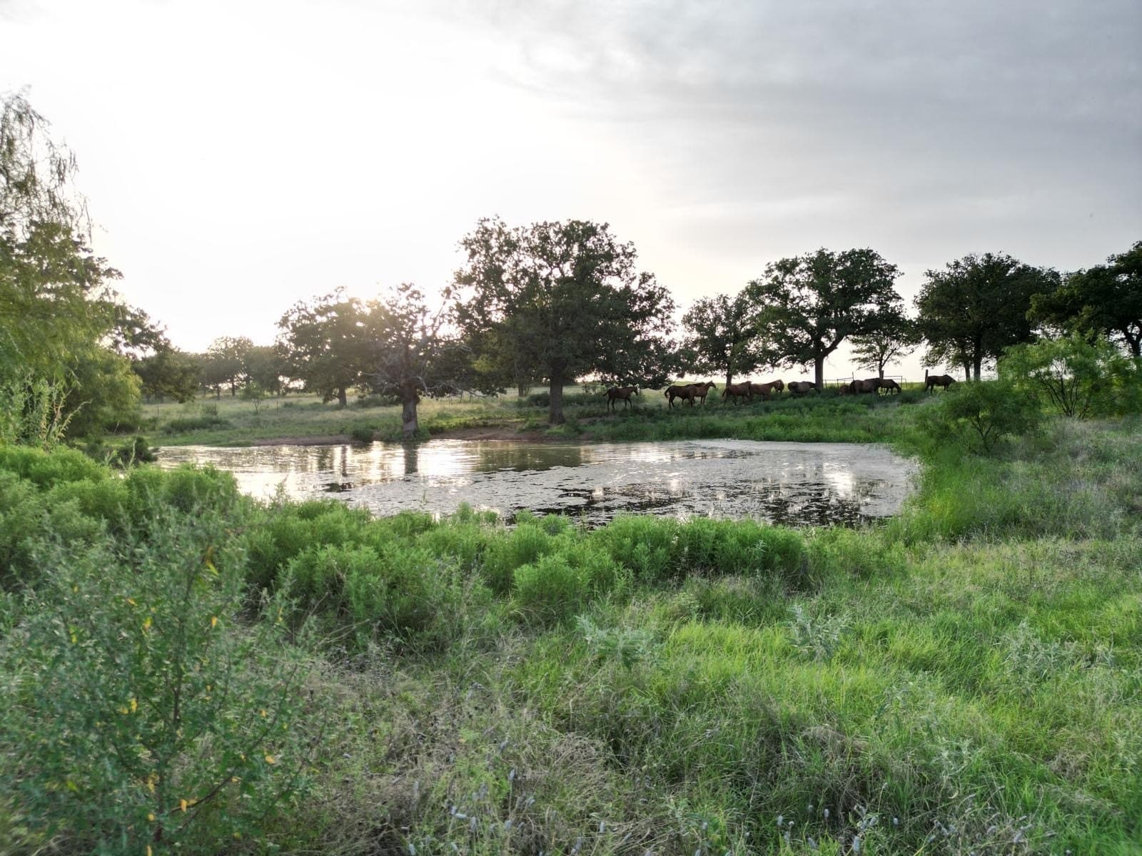 297.64 acres in Comanche County - photo 28