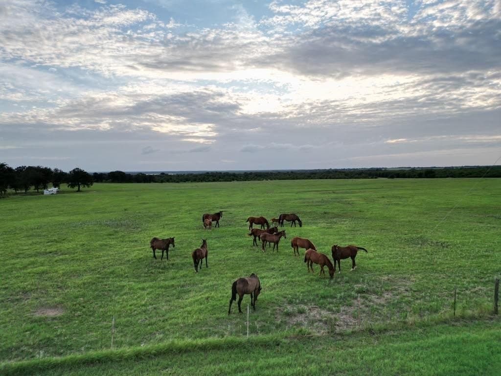 297.64 acres in Comanche County - photo 31