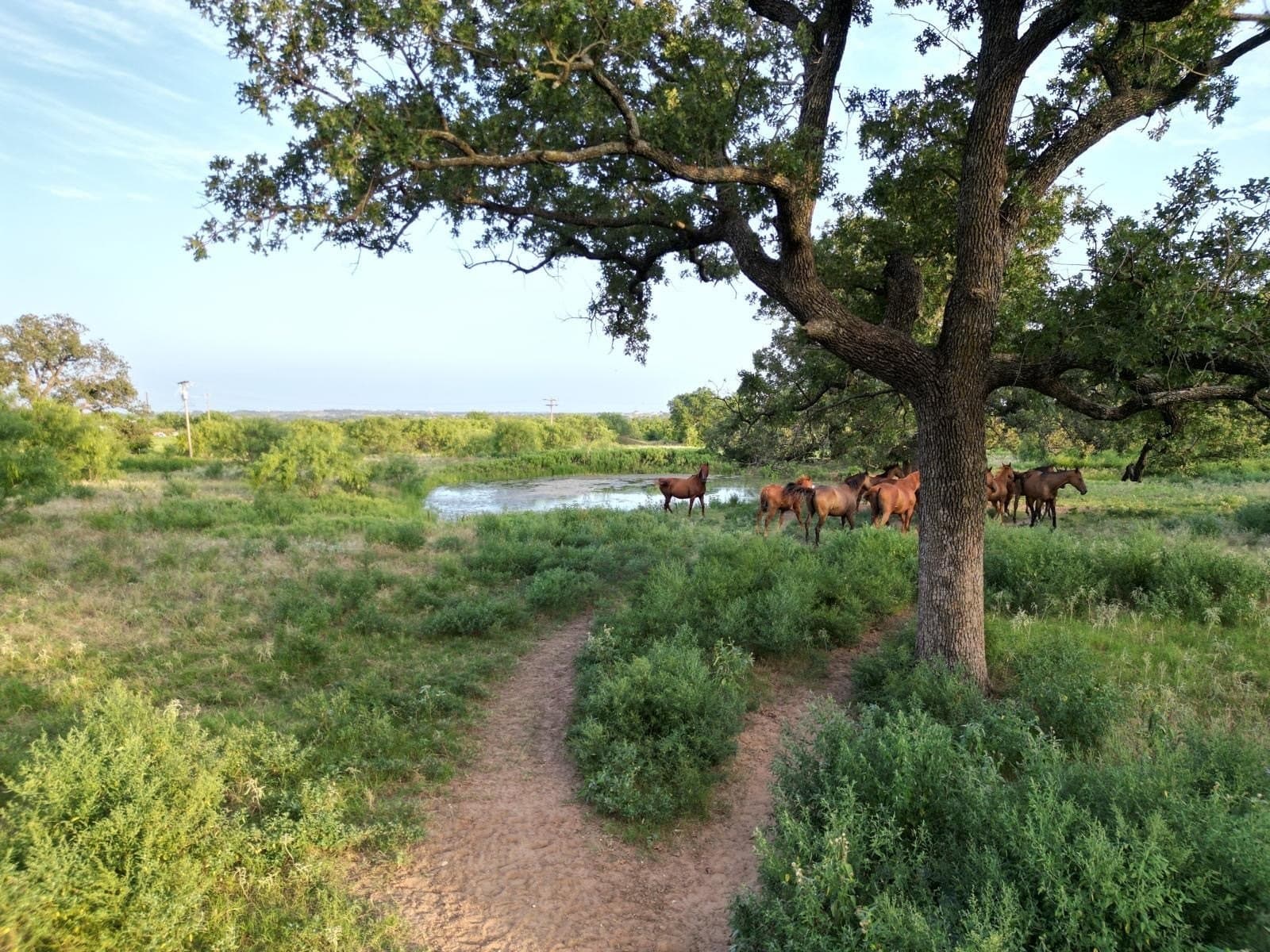 297.64 acres in Comanche County - photo 27