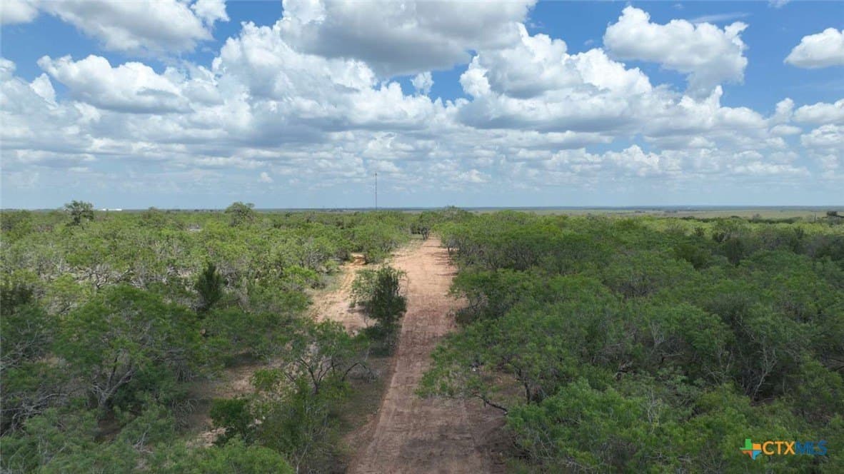 10 acres in Wilson County gallery image 2