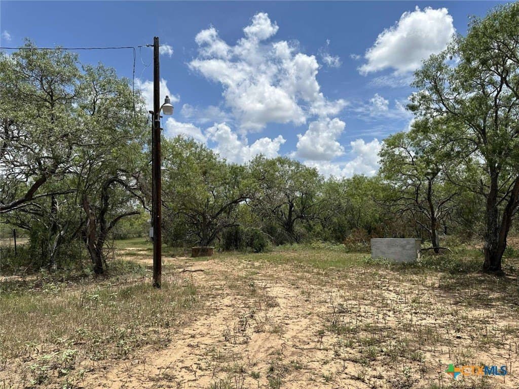 10 acres in Wilson County gallery image 3