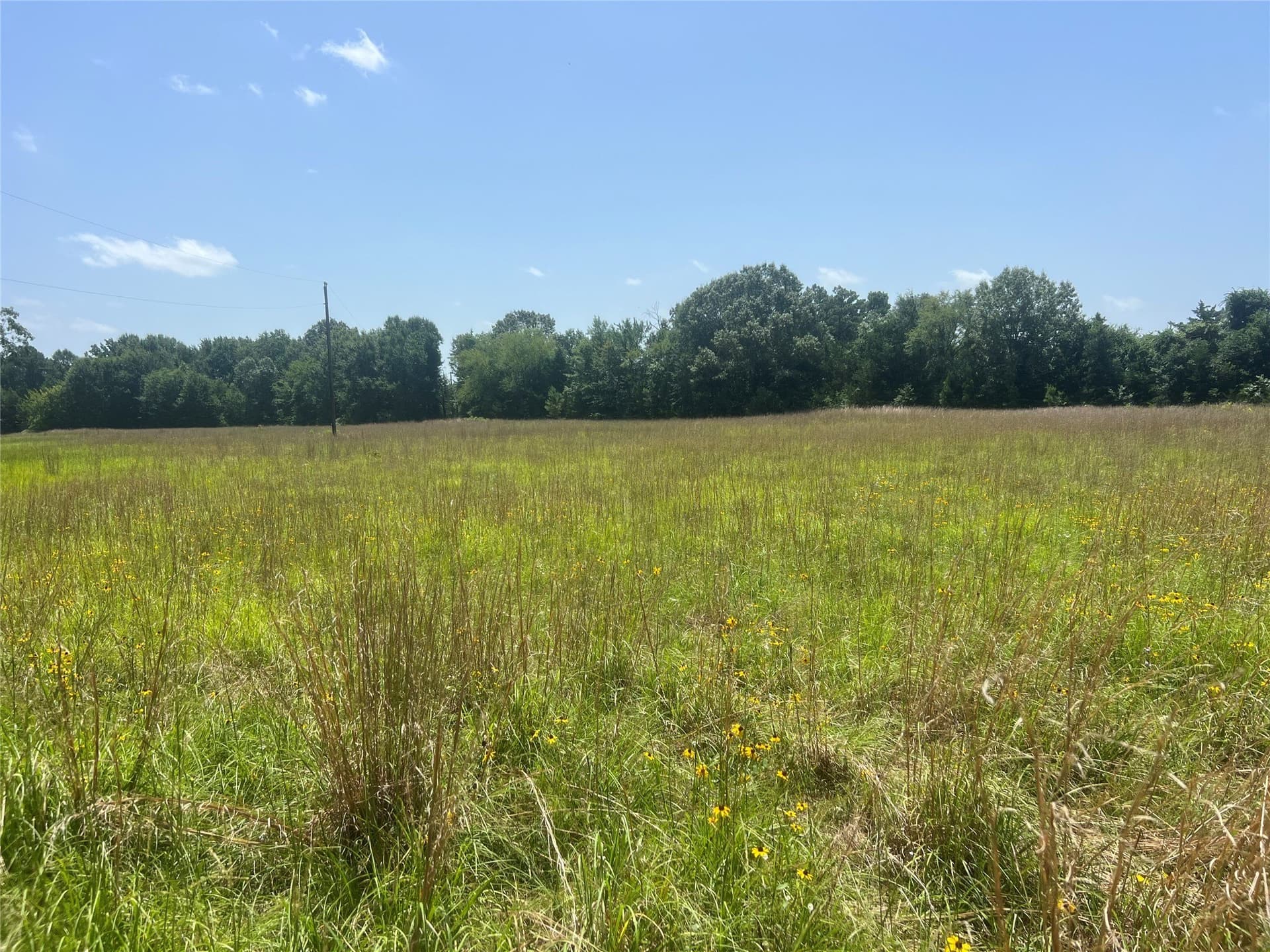 9.7 acres in Lamar County - photo 6