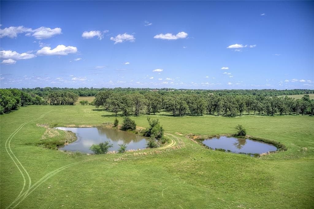82.1 acres in Hopkins County gallery image 2
