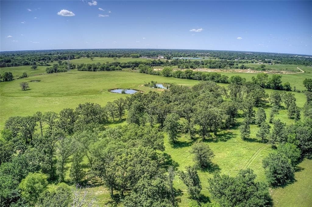82.1 acres in Hopkins County gallery image 4