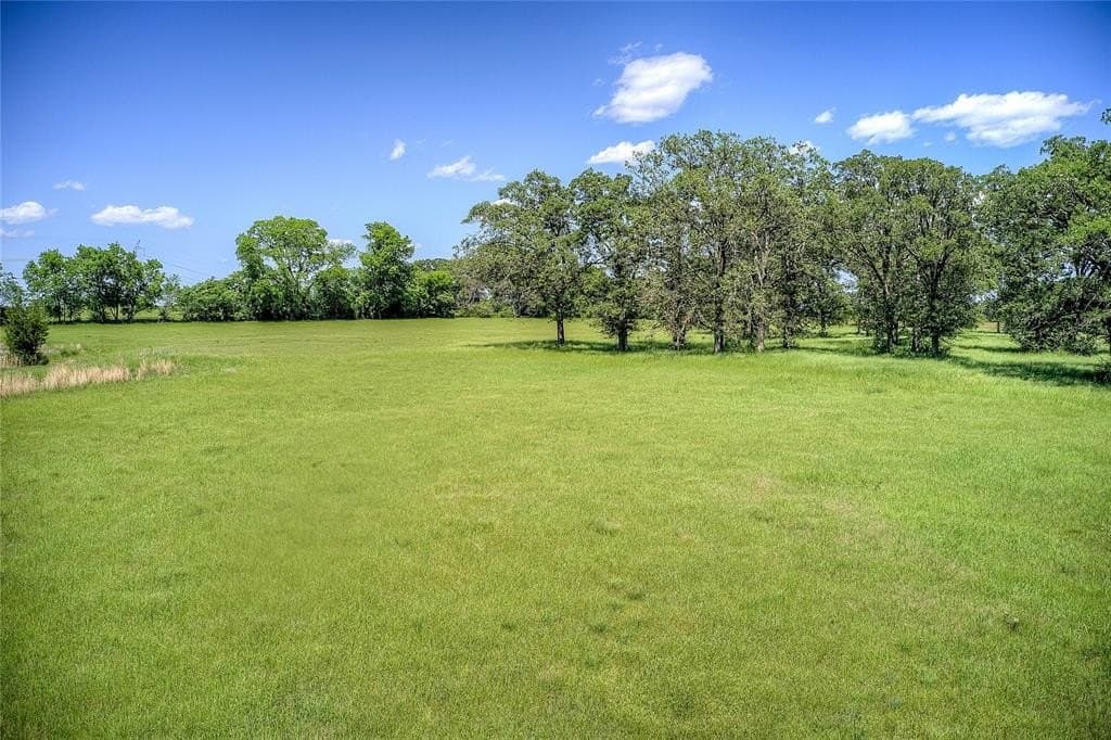 82.1 acres in Hopkins County gallery image 3