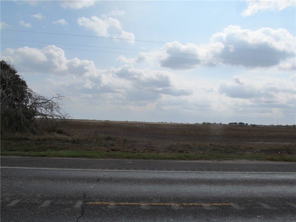 100 acres in San Patricio County gallery image 3