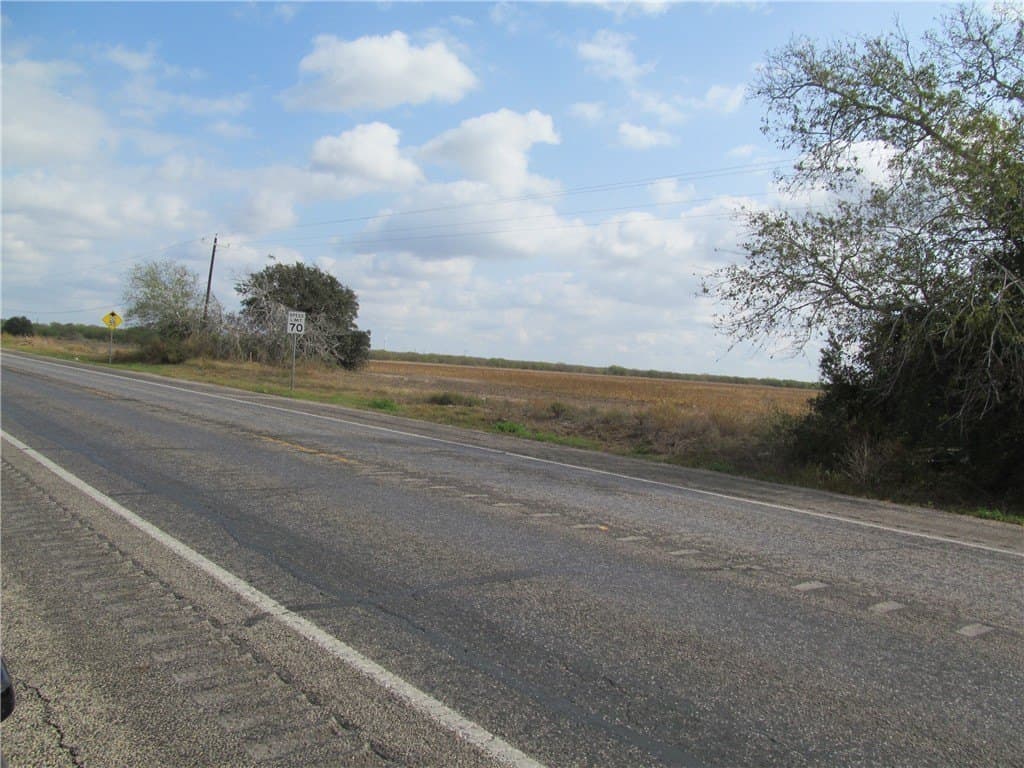100 acres in San Patricio County gallery image 4