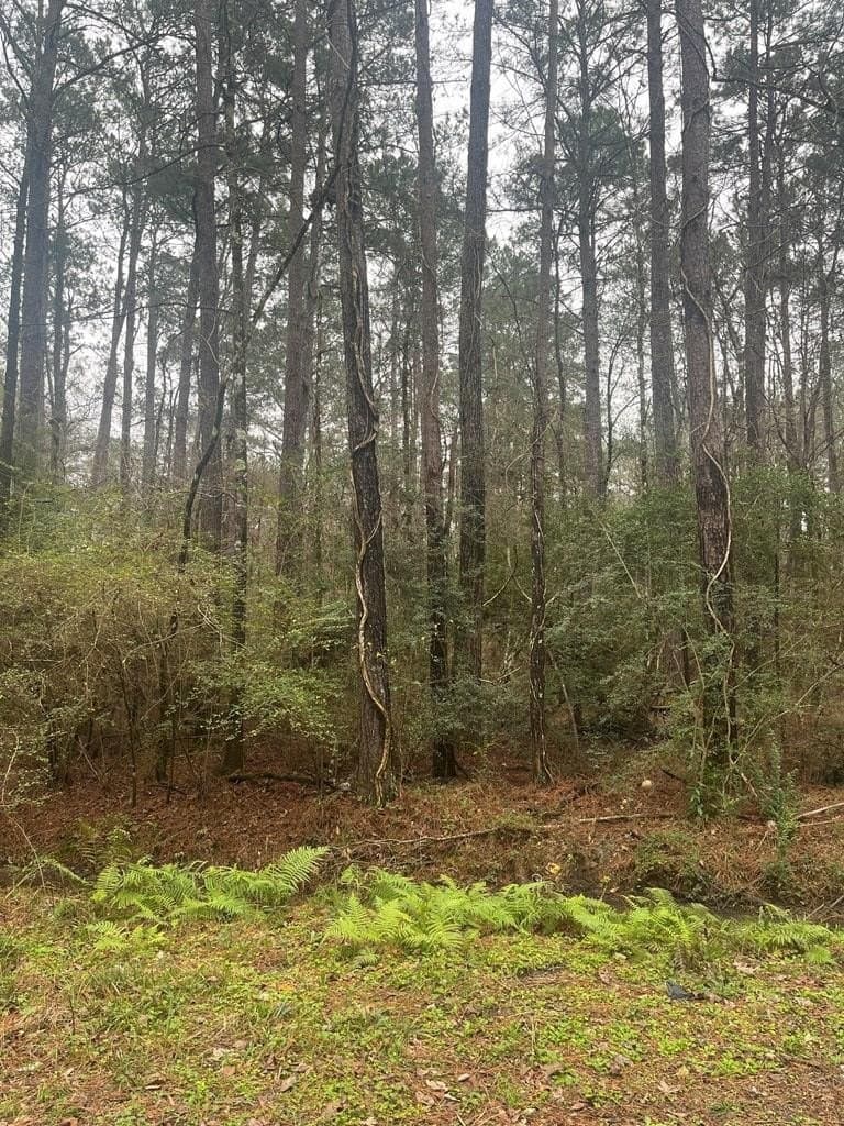 0.27 acres in Texas County - photo 6