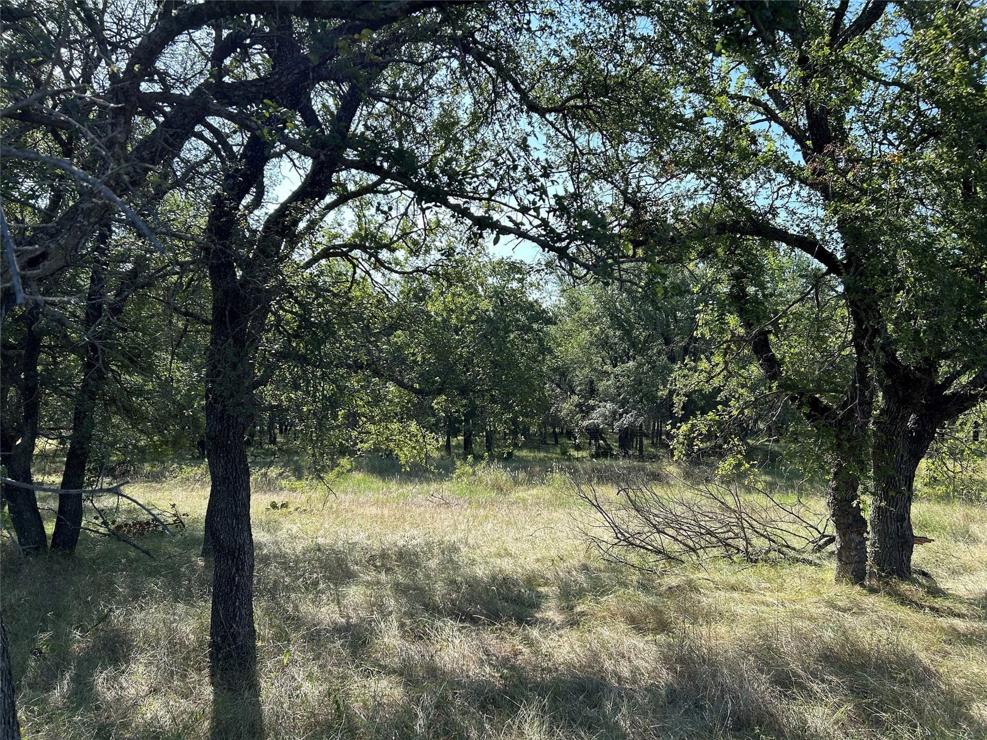 86 acres in Wise County gallery image 4
