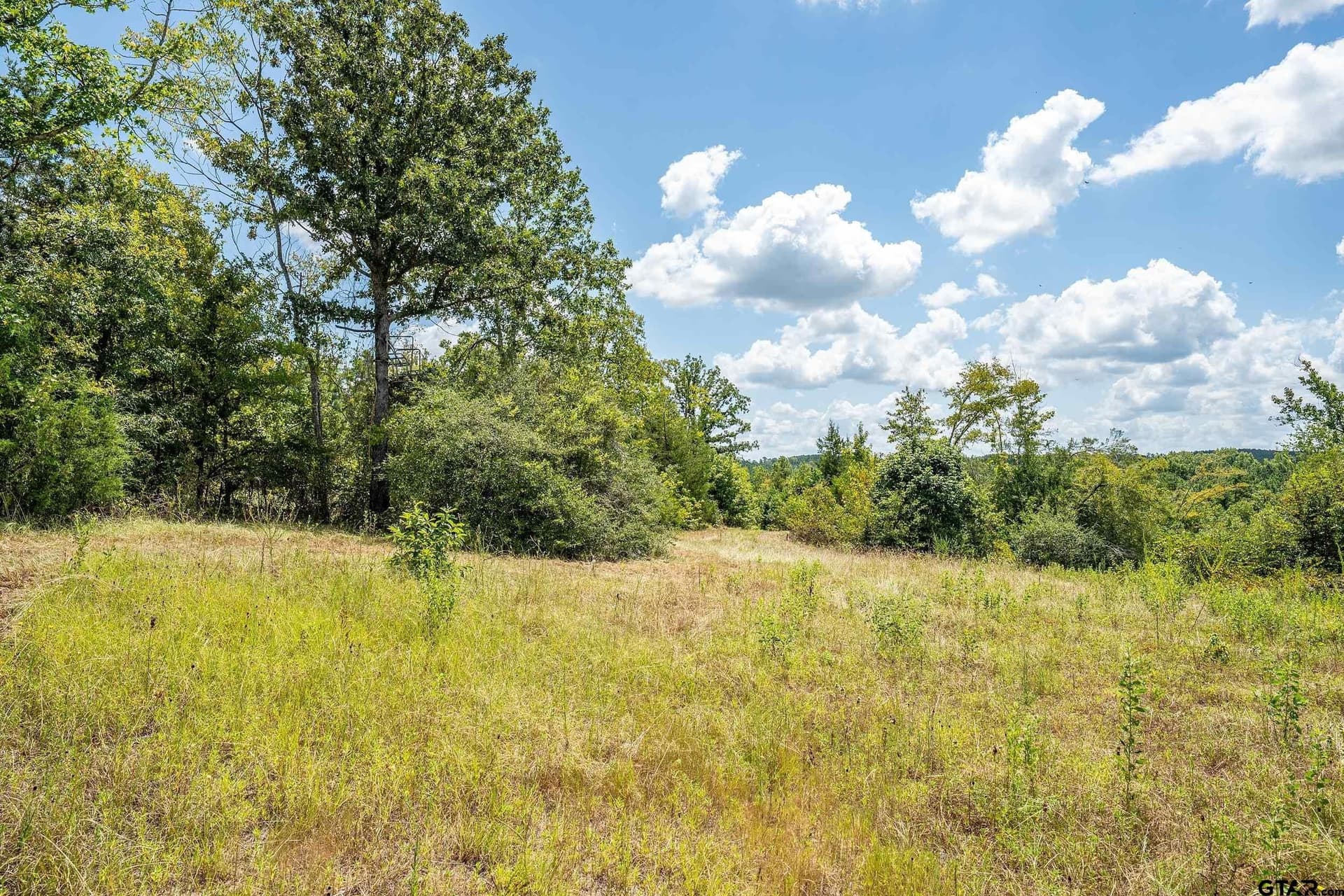 60.61 acres in Rusk County - photo 33