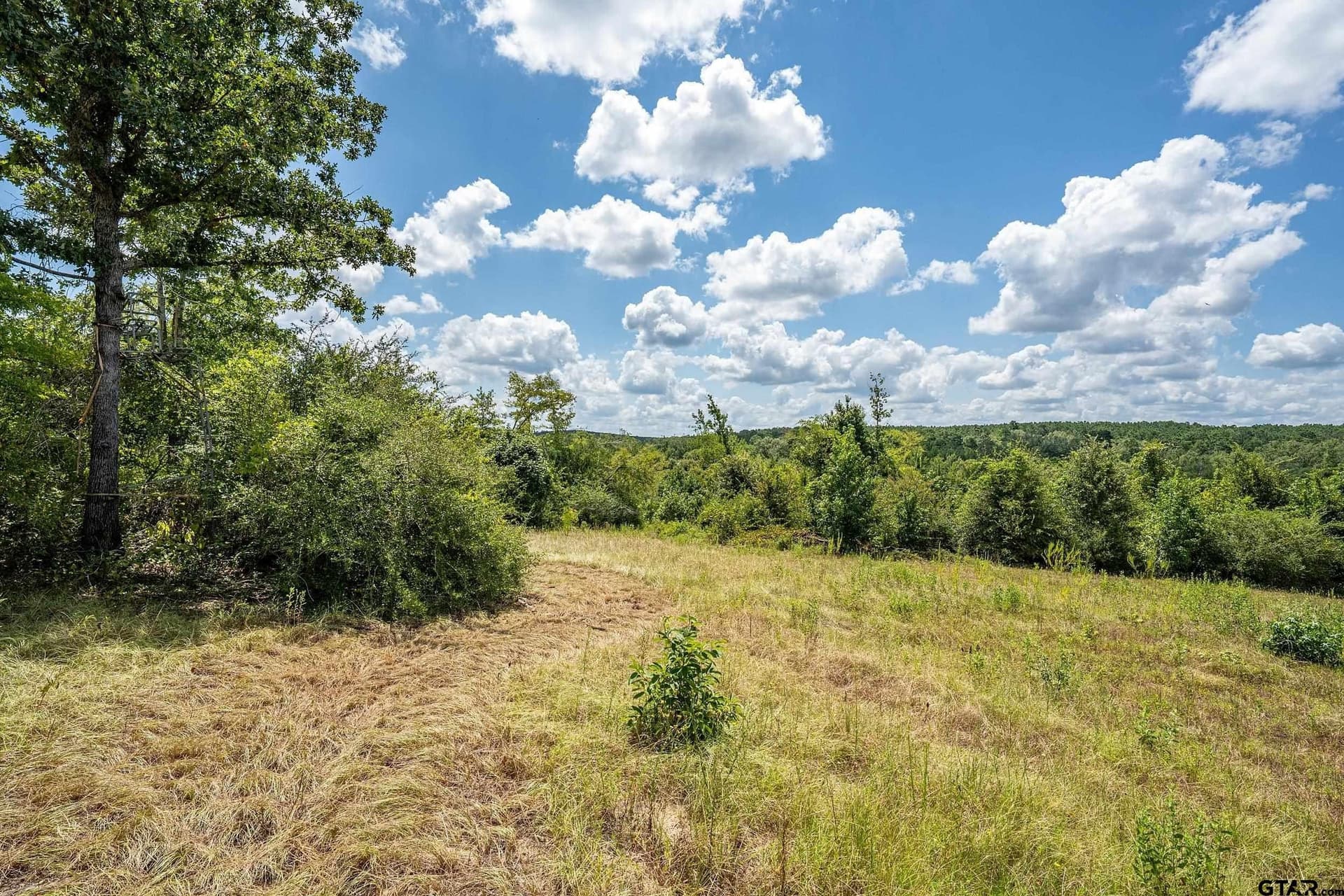 60.61 acres in Rusk County - photo 34