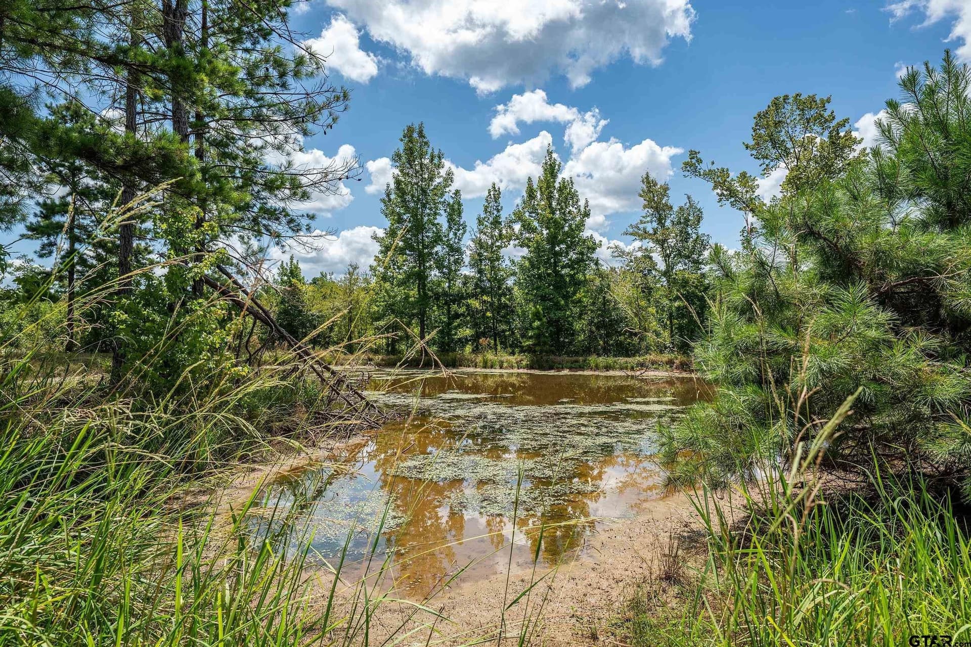 60.61 acres in Rusk County - photo 31