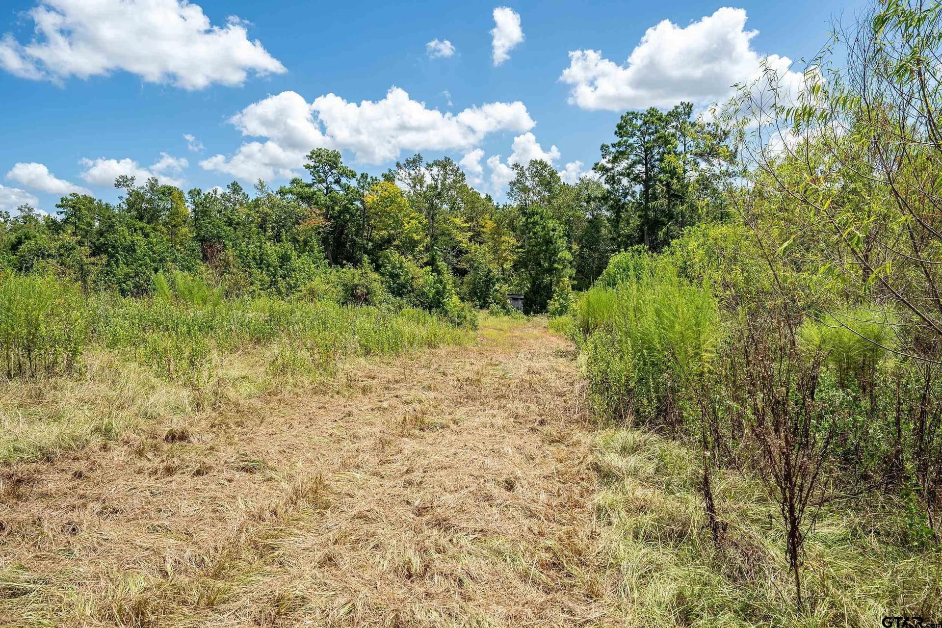 60.61 acres in Rusk County - photo 35