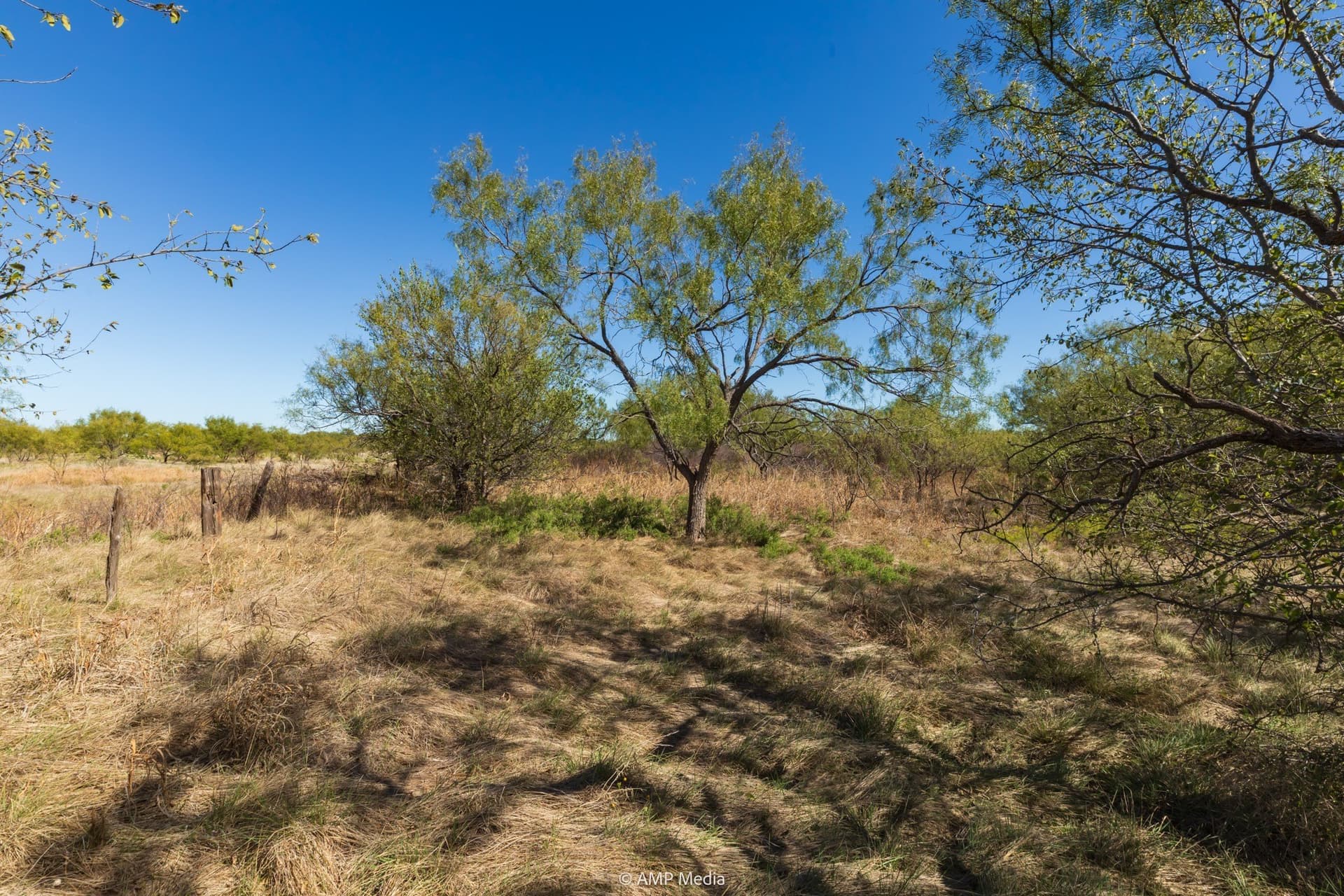 77.47 acres in Taylor County - photo 28