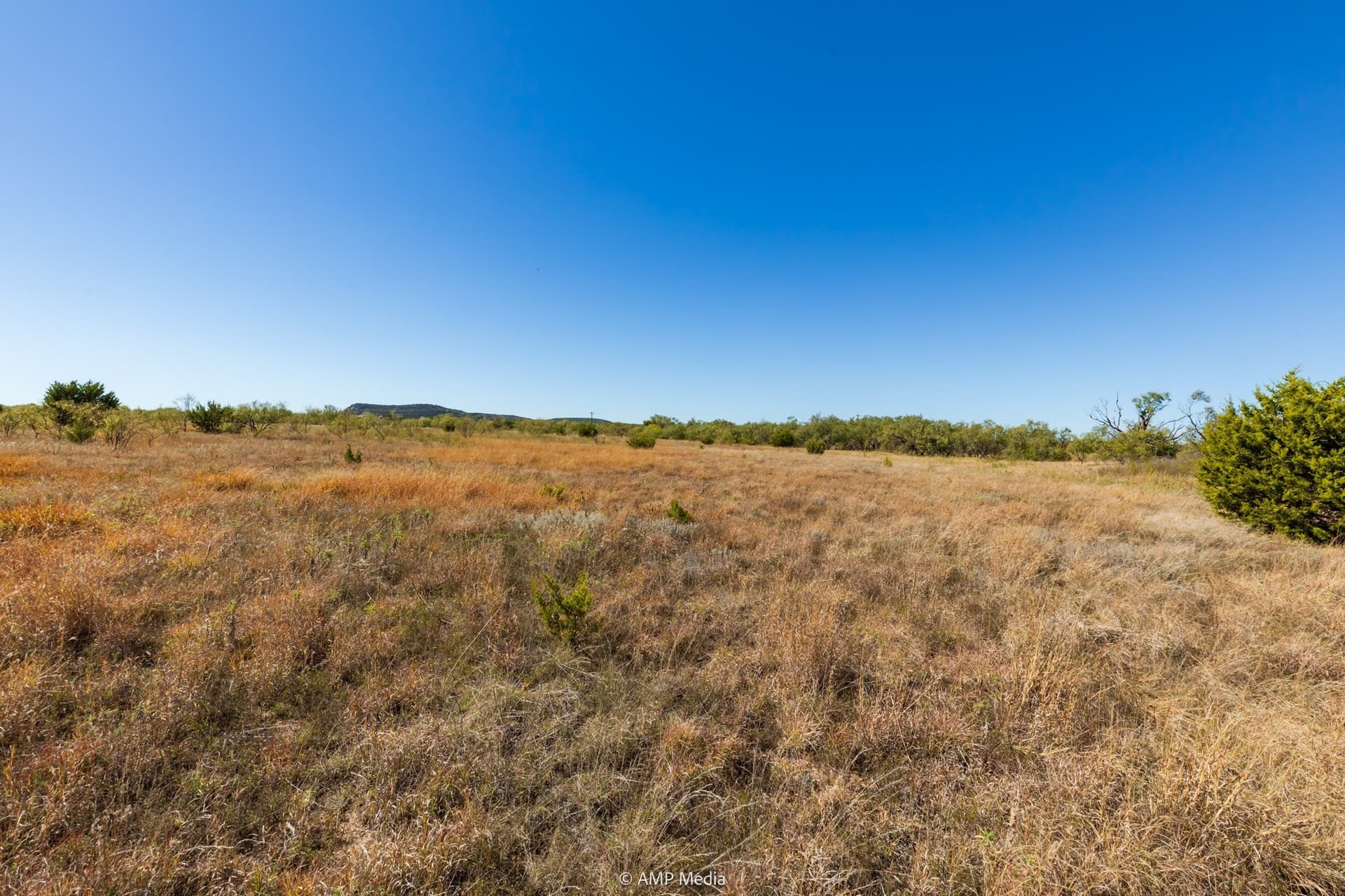 77.47 acres in Taylor County - photo 30